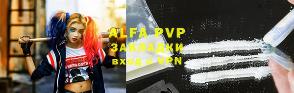 индика Зеленодольск