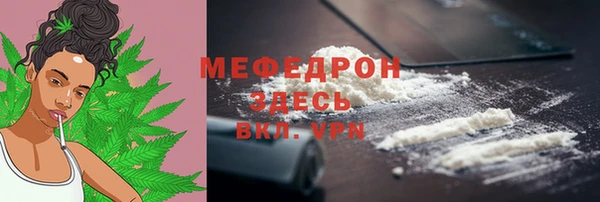 индика Зеленодольск