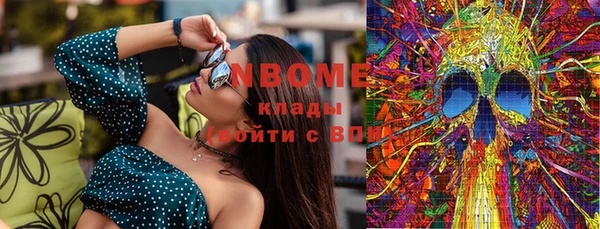 индика Зеленодольск