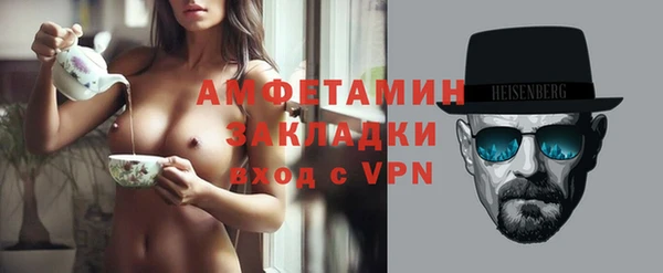 индика Зеленодольск