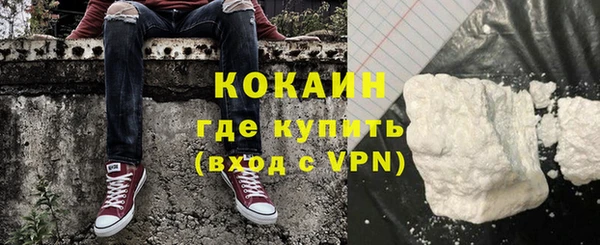 индика Зеленодольск