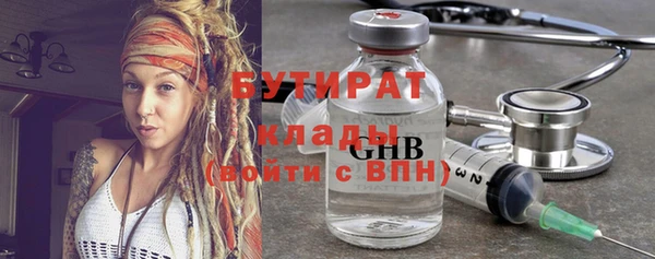 индика Зеленодольск