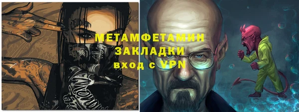 индика Зеленодольск